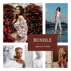 Petaloria + Silvershade + Warmvella + Coastlyn — Presets Bundle