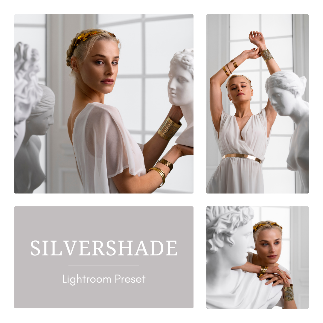 Silvershade — Preset One